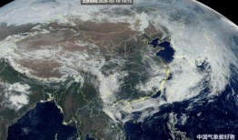 武汉太阳爆料最新消息,最新热点事件深度解析